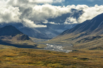Denali National Park Road, Alaska, USAImage no: 16-309381   Click HERE to Add to Cart