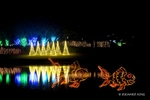 Colour photograph of Christmas Lights on a lake with Goldfish in the foreground and trees and their reflection on far bank