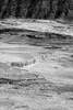 Mammoth Hot Springs, Wyoming, USAImage No: 17-009207-bw  Click HERE to Add to Cart