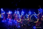 Colour photograph of Christmas Lights of a marching band in uniform
