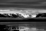 B&W photograph of Mountains and Glaciers in Homer, Alaska during a Seabird Ventures Scenic Wildlife Cruise from Homer Spit.