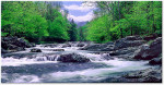 Greenbrier, Great Smoky Mountains National Park, Tennessee, USAImage no: 080514.1920  http://richardkingphoto.photoshelter.com/image/I0000fe4U693e