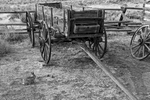 Cody, Wyoming, USAImage No: 17-016894-bw  Click HERE to Add to Cart