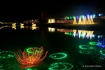Colour photograph of Christmas Lights on a lake with Water Lilly near and trees and their reflection on far bank