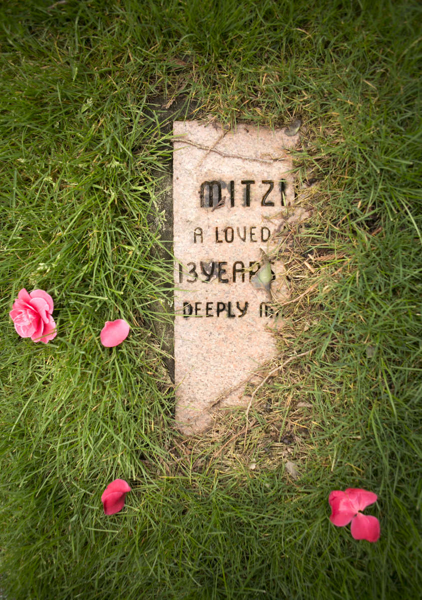 A grave for {quote}Mitzi{quote} is covered with grass at the Animal Cemetery at the Oregon Humane Society in Portland. Established in 1918, the Oregon Humane Society says it's the oldest pet cemetery west of the Mississippi. 