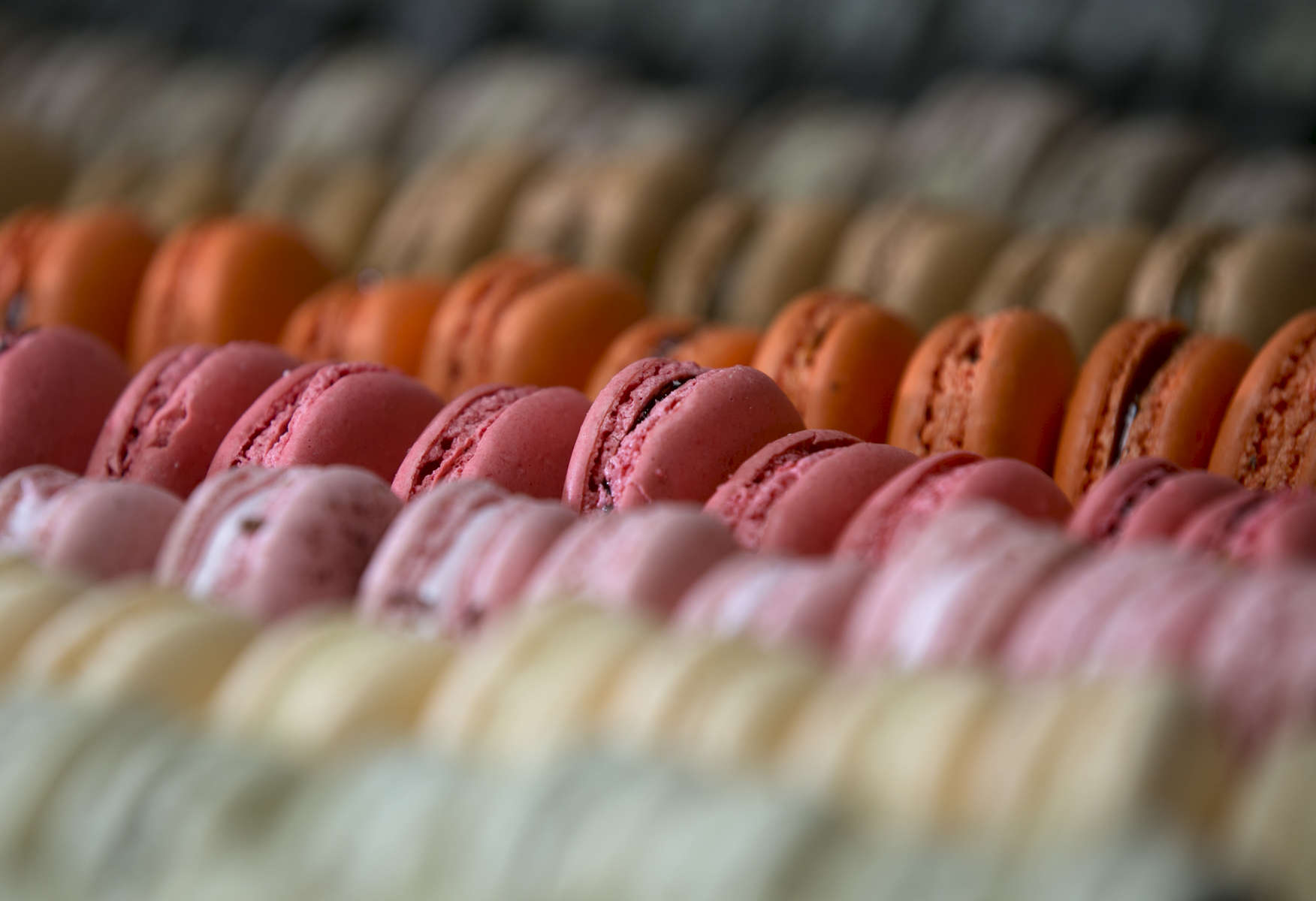 Nuvrei's Mac Bar in Portland, located a level below the cafe, displays their outstanding variety of macarons. 