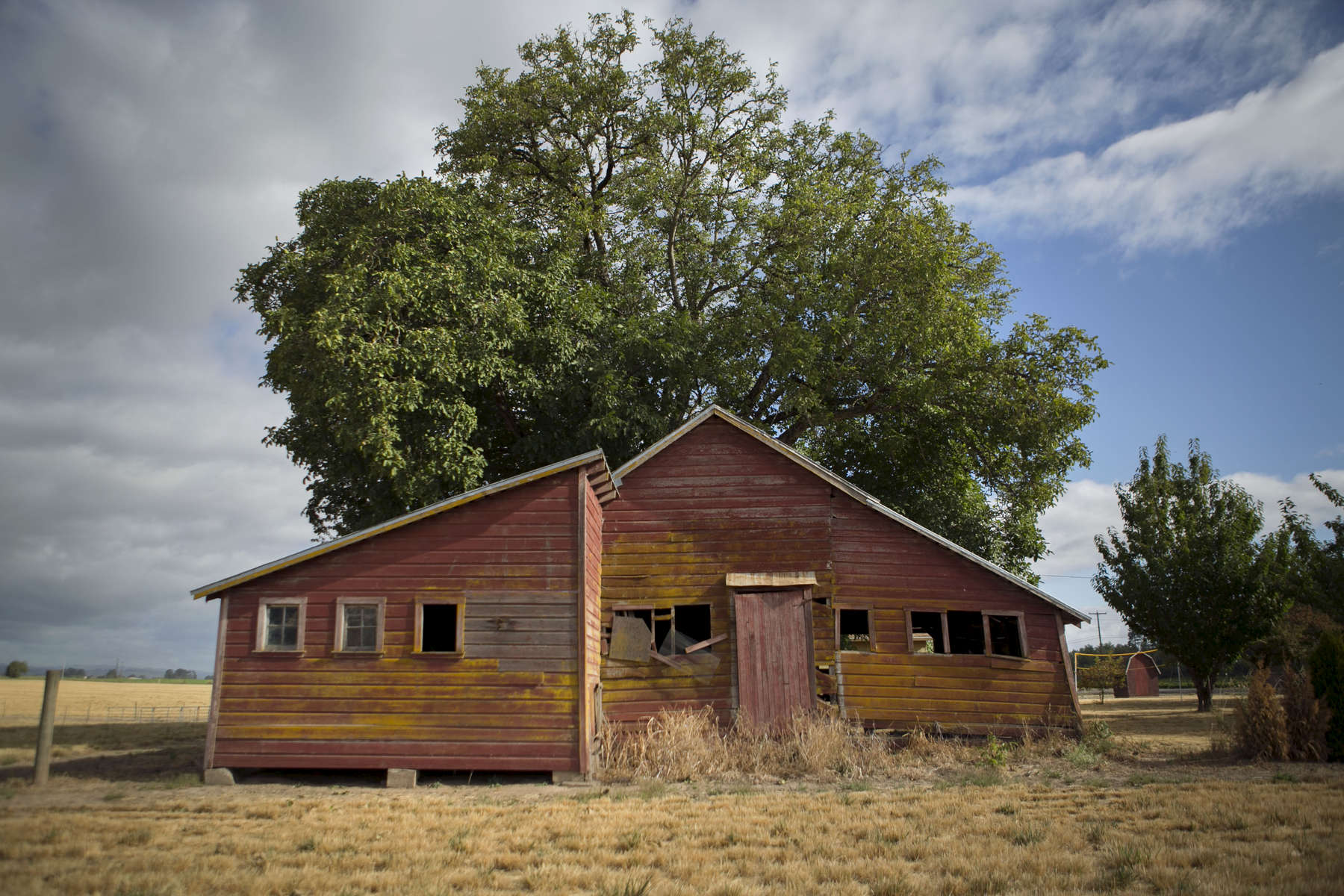 The chicken barn is now only used for storage, one of many outbuildings on the 1915 Taghon farm in Cornelius, founded in by Theophile Cappoen, and is now owned by Theophile's great-great-grandson Joe Finegan and his wife Jennifer.  