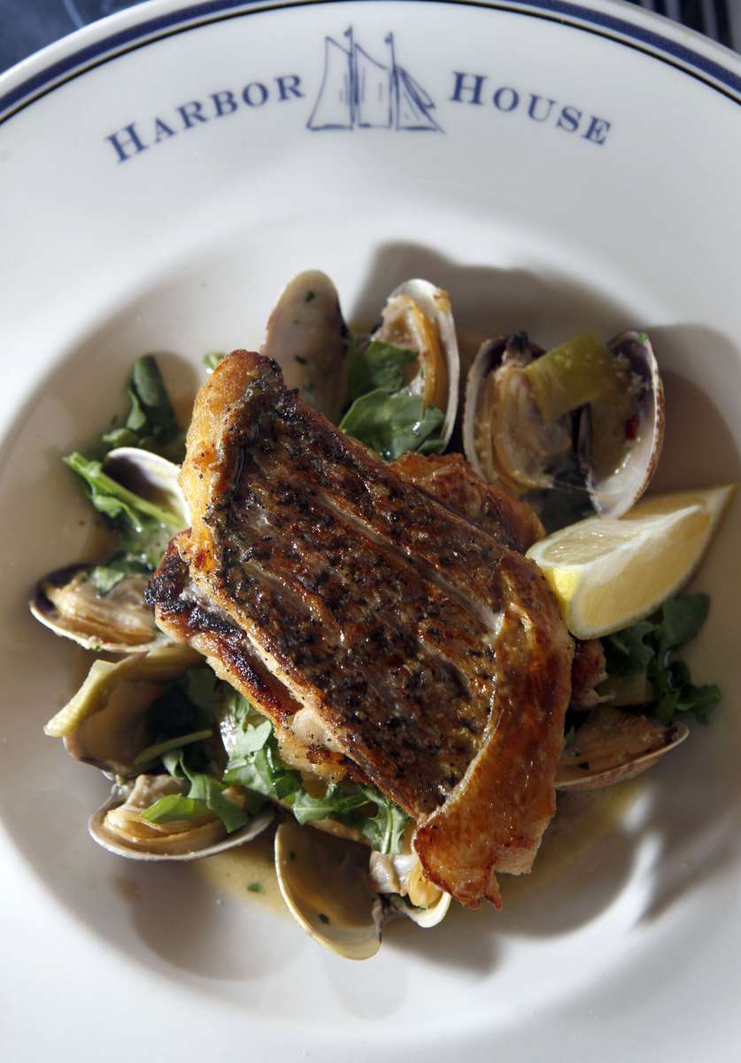 deptolla nws kwg 4--Sauteed Atlantic striped sea bass is served with clams, fingerling potatoes, leeks, arugula and parsley, at Harbor House in Milwaukee, October 25, 2010.PHOTO:KRISTYNA WENTZ-GRAFF / KWENTZ@JOURNALSENTINEL.COM
