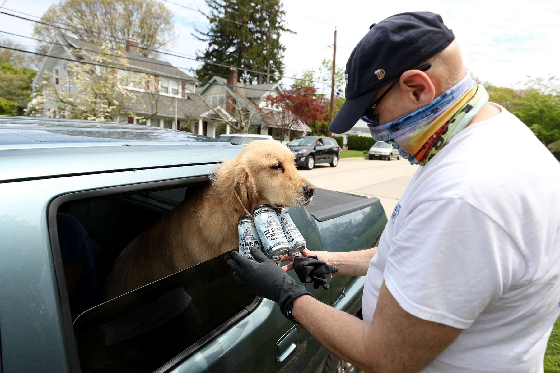 Mark and Karen Heuwetter fit their two dogs Buddy and Barley with an empty four pack of beer cans before a delivery to their customers on May 03, 2020 in Huntington Village, New York.  Mark and Karen Heuwetter own the Six Harbors Brewery and have trained their two Golden Retrievers Buddy and Barley to help them deliver beer to their customers during the coronavirus COVID-19 pandemic.  The dogs are fitted with a four pack of empty beer cans around their necks and meet customers at their doorstep while Mark and Karen carry the beer to deliver behind them.  It has been comforting for the dogs who are enjoying the exercise and meeting people along the way.  The customers love seeing Buddy and Barley and enjoy petting and greeting them to go with their beer delivery. 