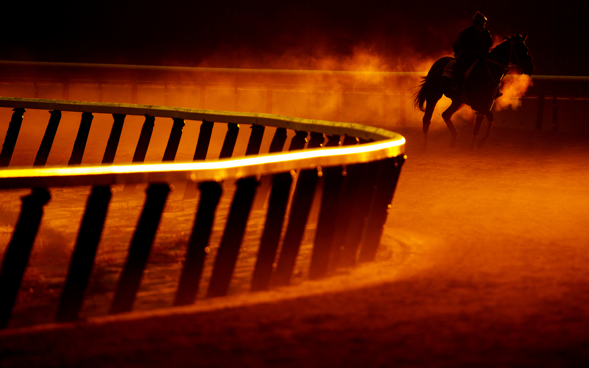 A thoroughbred and Exercise Rider train at sunrise prior to the 149th running of the Belmont Stakes at Belmont Park on June 9, 2017 in Elmont, New York. 