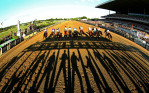 The field starts the 146th running of the Belmont Stakes at Belmont Park on June 7, 2014 in Elmont, New York. 