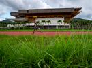 CAYEY, PUERTO RICO - NOVEMBER 10:  Juan Hernandez Gonzalez who is a student at the Cayay campus of the University of Puerto Rico runs on the University's athletics track that that had been damaged by Hurricane Maria and is now overun by uncut grass on November 10, 2018 in Cayey, Puerto Rico. The effort continues in Puerto Rico to remain and rebuild more than one year after the Hurricane Maria hit and devastated the island on September 20, 2017. The official number of deaths from the disaster is 2,975. 