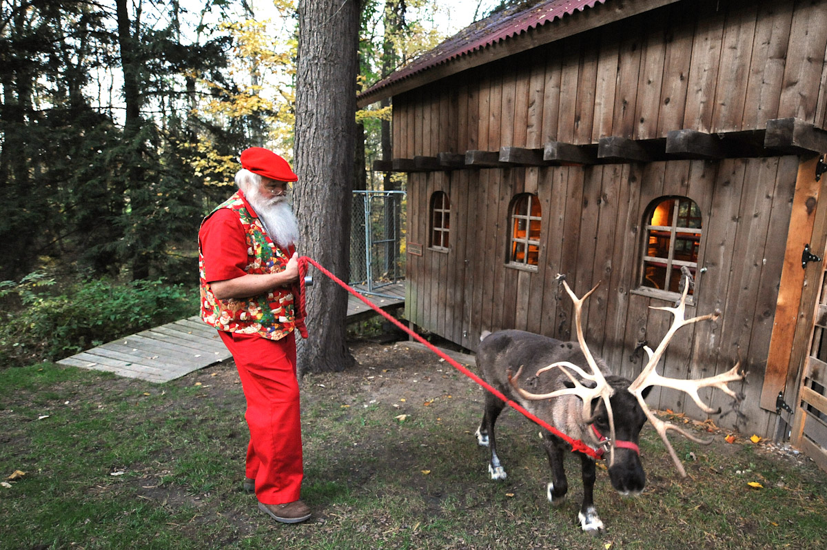 Santa student Jerry Owens of New Albany, Indiana walks a reindeer in the back yard of Santa Claus school Dean Tom Valent during the Charles W. Howard Santa Claus School workshop on October 16, 2008 in Midland, Michigan.  