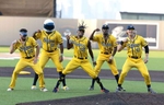 The Savannah Bananas perform a dance routine during their game against the Staten Island Ferryhawks at Richmond County Bank Ball Park on August 11, 2023 in New York City.  