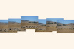 panorama_cows_1200x800