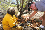 Mutitjulu elder Barbara Tjikatu, hands Elliot from Melbourne his first witchetty grub, during a cltural workshop on Aboriginal on Aboriginal land, central Australia. 