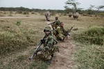 Three of the last seven Northern White rhinos left in the world follow the Kenya Police Reserve who protect them, as they head out on their daily evening patrol.