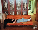A student lies asleep on a couch in the casting studio of the Pennsylvania Academy of Fine Art in Philadelphia, PA.