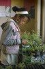 Michelle Pena inspects the plants she raised for a hydroponics project in Diaz' class.