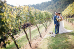 Delfosse Vineyards & Winery Charlottesville weddin