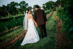 Williamsburg Winery Wedding