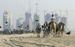 Early morning at the camel tracks in Dubai.