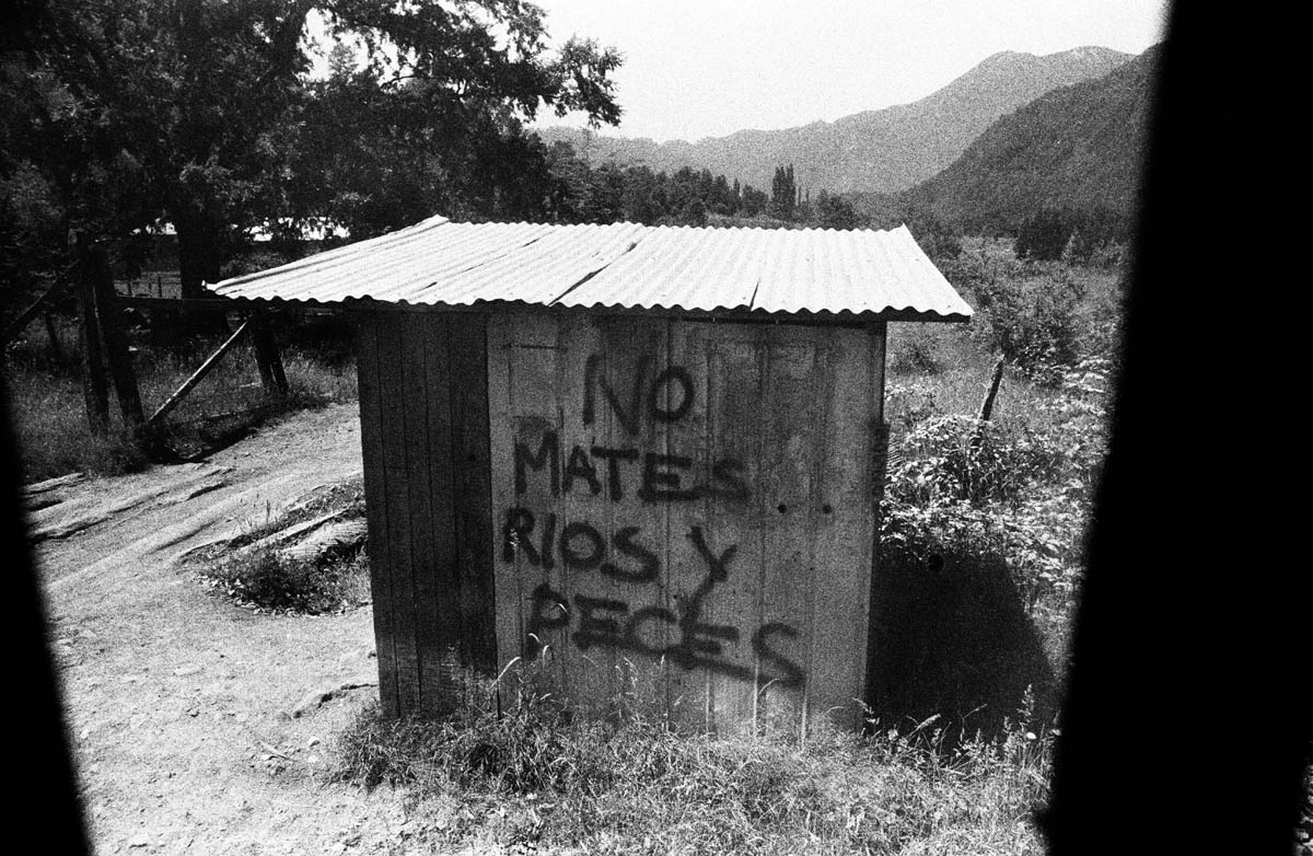 {quote}No mates rios y peces{quote} - Don't kill rivers and fish!
