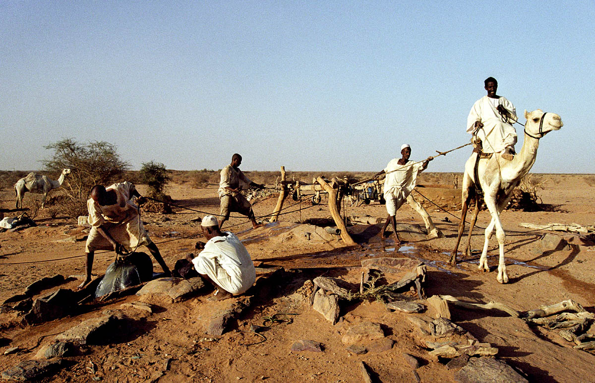 Nomads collecting water in a traditional way from a well in the desert.