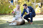bride-and-groom-with-lovely-dog