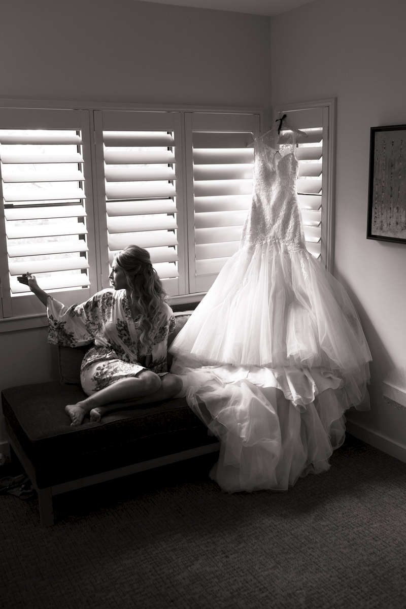 bride-and-her-dress