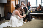 wedding-dog-Plump-Jack