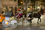Steve Beckmann, Owner of Sealth Horse Carriages, and Amos, his 11 year-old Percheron draft horse, haul customers around Westlake Center in Seattle, WA on December 9, 2017. Beckmann says he was the first horse and carriage business in Seattle and now, 42 years later, he is the only one left. (© Karen Ducey) Story published on Crosscut.com and AnimalsNorthwest.com
