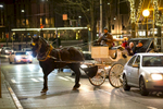 Steve Beckmann, owner of Sealth Horse Carriages, navigates his draft horse, Amos, through city traffic on 5th Avenue in Seattle, WA on December 17, 2017. Beckmann says he was the first horse and carriage business in Seattle and now, 42 years later, he is the only one left. (© Karen Ducey)