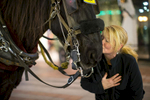 Tanya Therrien of White Rock, British Columbia, Canada give Amos, an 11 year-old Percheron draft horse from Sealth Horse Carriages, a kiss outside Westlake Center in Seattle, WA on December 17, 2017. {quote}I'm so in love with him,{quote} Therrien says.{quote} I want to take him home.{quote}  (© Karen Ducey)