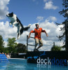 animals-ducey-lifestyle-dock-dogs