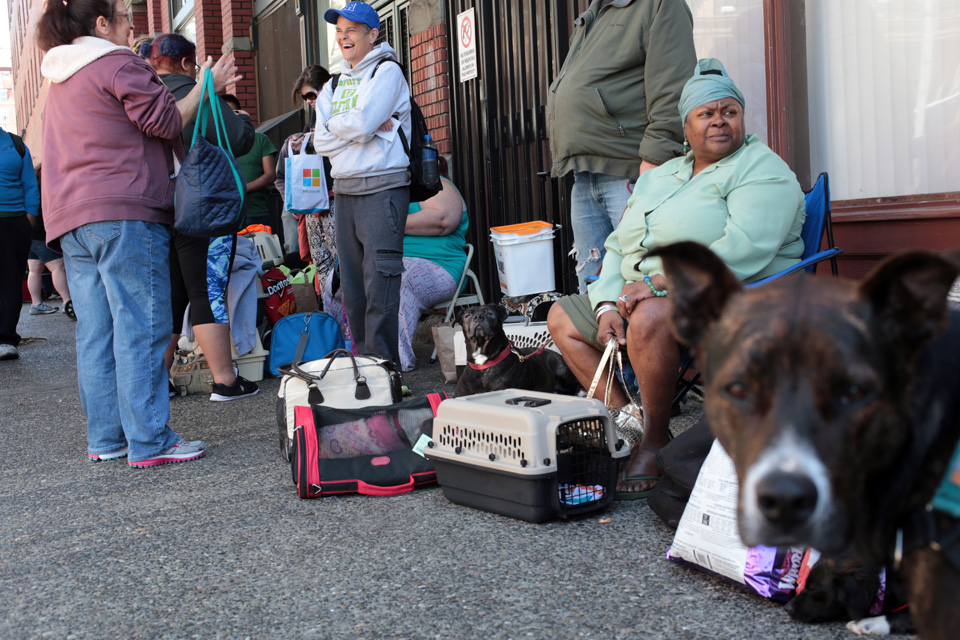 Over 50 pets and their owners wait in line on a sunny afternoon outside the Union Gospel Mission to be seen by veterinarians at the Doney Memorial Pet Clinic in Seattle on Saturday June 25, 2016. Every second and fourth Saturday people currently experiencing homelessness and low-incomes can bring in their pets for general wellness exams  and pick up pet food and supplies. (photo © Karen Ducey Photography)Homeless and low income people bring in their pets to see veterinarians and pick up food at the Doney Memorial Pet Clinic located in the Union Gospel Mission in Seattle, WA on June 25, 2016. (photo © Karen Ducey Photography)