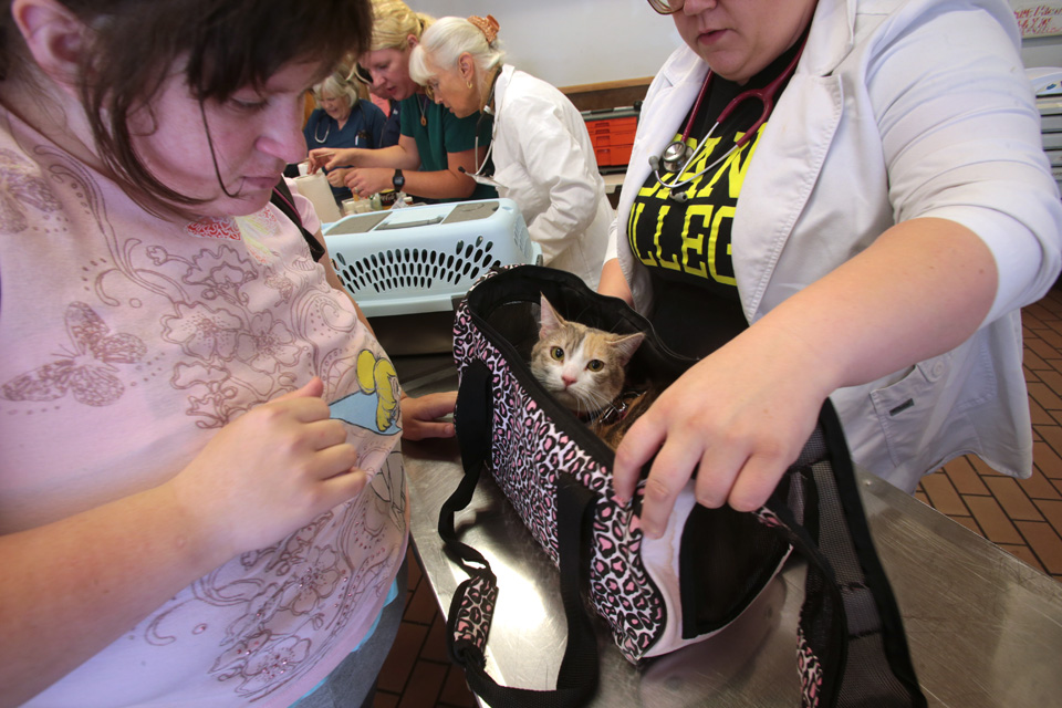 Homeless and low income people bring in their pets to see veterinarians and pick up food outside the Union Gospel Mission in Seattle, WA on June 25, 2016. (photo © Karen Ducey Photography)