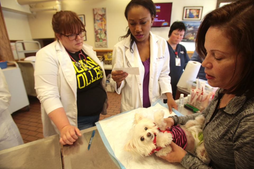 Dr. Tomika Haller (left) and Dr. Heather Fowler (center), check Chi Chi's veterinary record at the Doney Memorial Pet Clinic. Chi Chi's owner Esmeralda Franco (right) from Seattle brought her in because Chi Chi had a litter of two puppies, both of which died. Fowler has been volunteering at the clinic for two years and sees it as a way to give back to the community and maintain her clinical skills. as a veterinarian at the Doney Memorial Pet Clincworks at the University of Washington and is a PhD student. Homeless and low income people bring in their pets to see veterinarians and pick up food outside the Union Gospel Mission in Seattle, WA on June 25, 2016. (photo © Karen Ducey Photography)Homeless and low income people bring in their pets to see veterinarians and pick up food at the Doney Memorial Pet Clinic located in the Union Gospel Mission in Seattle, WA on June 25, 2016. (photo © Karen Ducey Photography)