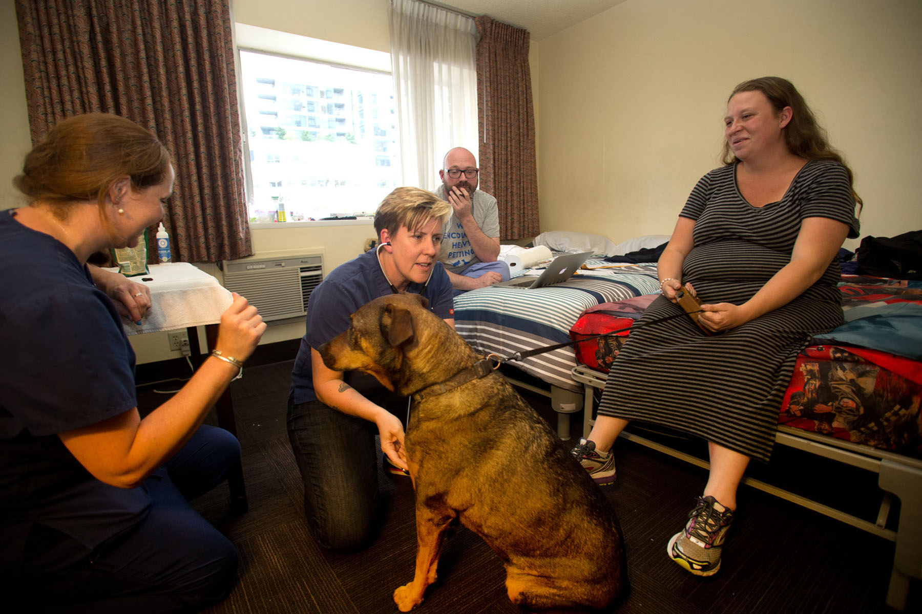 Dr. Cherri Trusheim (center) veterinarian and owner of Urban Animal, and her staff vet techs, Janna O’Connor (left)band Rob Oatman (right) check on Momma, a seven year old rottweiler-shepherd mix belonging to Mary Delp (seated) at Mary’s Place new Guest Rooms crisis response shelter in South Lake Union in Seattle, WA on June 23, 2016. The vets provided check ups and medical care to homeless dogs and cats living at the shelter. (photo © Karen Ducey Photography)