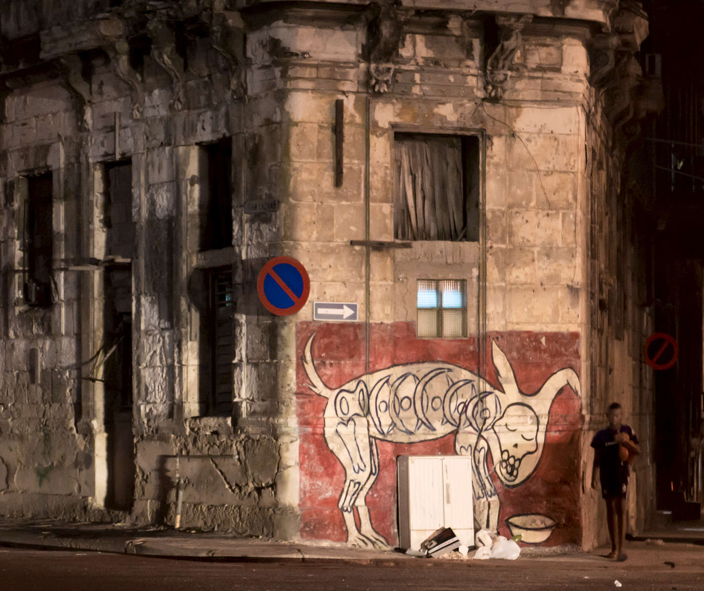 Cuba_29-Dog-Skeleton-at-Night