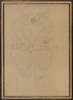 Auguste RODIN (1840-1917)Graphite on lined Japan paper29.5 x. 19.3 cmSigned at the bottom right: ‘A. Ro(din)’