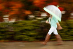 Danielle Gemberling, 20, from Santa Barbara, Calif., is walking through the neighborhood  on a rainy day in front of the bright fall leaves in San Luis Obispo to fulfill the concept of {quote}She has no face,{quote} for the fiction CD Label Cover. Gemberling is a college student at California Polytechnic State University in San Luis Obispo. 