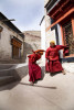 Novices at Play, Stok Monastery, Ladakh