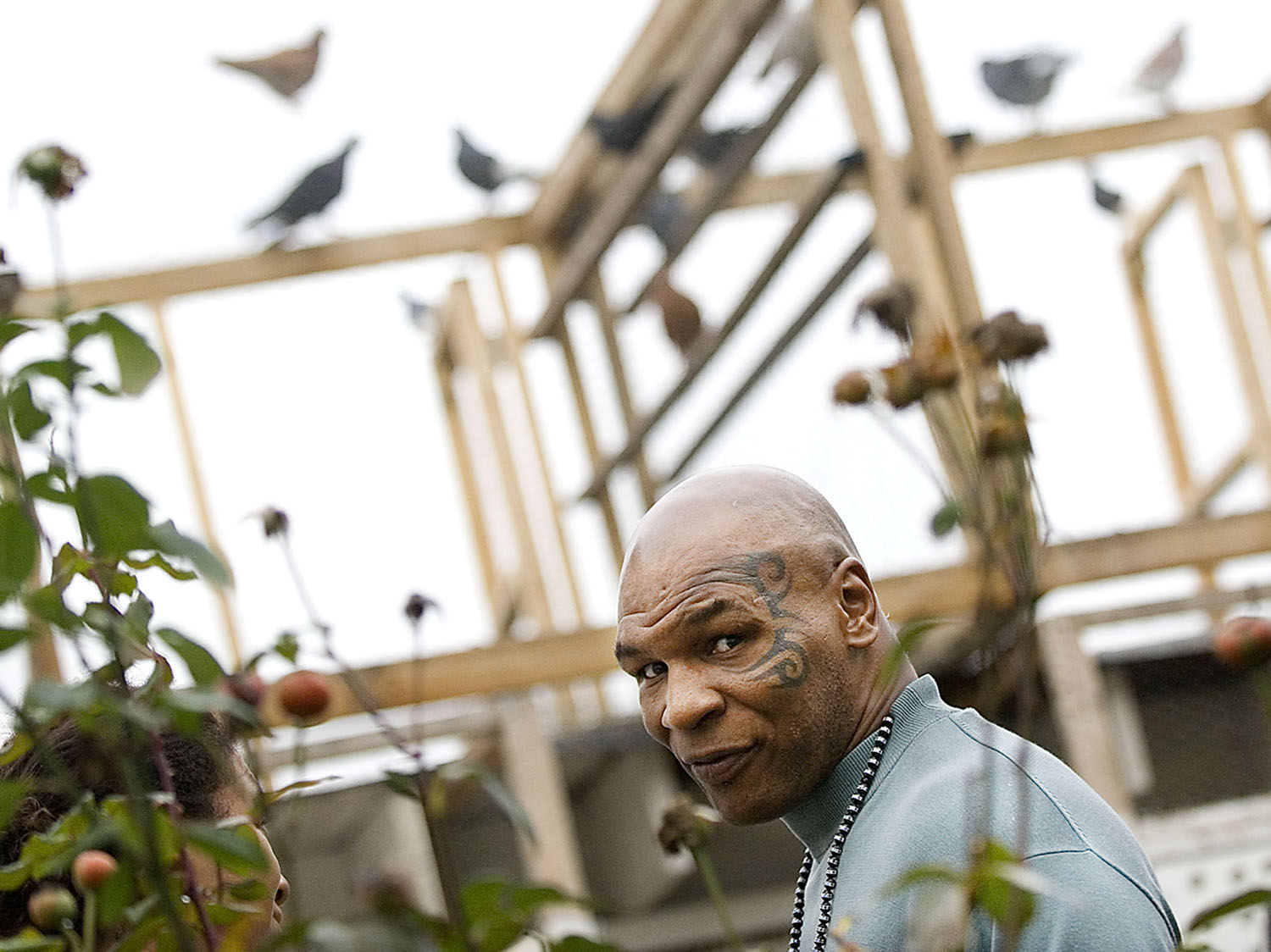  Former heavyweight boxing champion Mike Tyson being interviewed about his upcoming reality TV show on Animal Planet, {quote}Taking on Tyson,{quote} at Tyson's Corner, the coop for his racing pigeons, behind the Ringside Lounge which is owned by his long-time friend, Mario Costa. (Reena Rose Sibayan | The Jersey Journal)