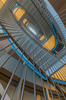The central atrium stairway of the SOM-designed Genome Sciences Building at UNC in Chapel Hill, NC, features elements resembling a DNA helix.
