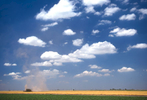 Wheat dust rises from a combine making its way across a wheat field in north central Kansas.
