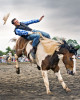rodeo_single1_by_frankveron