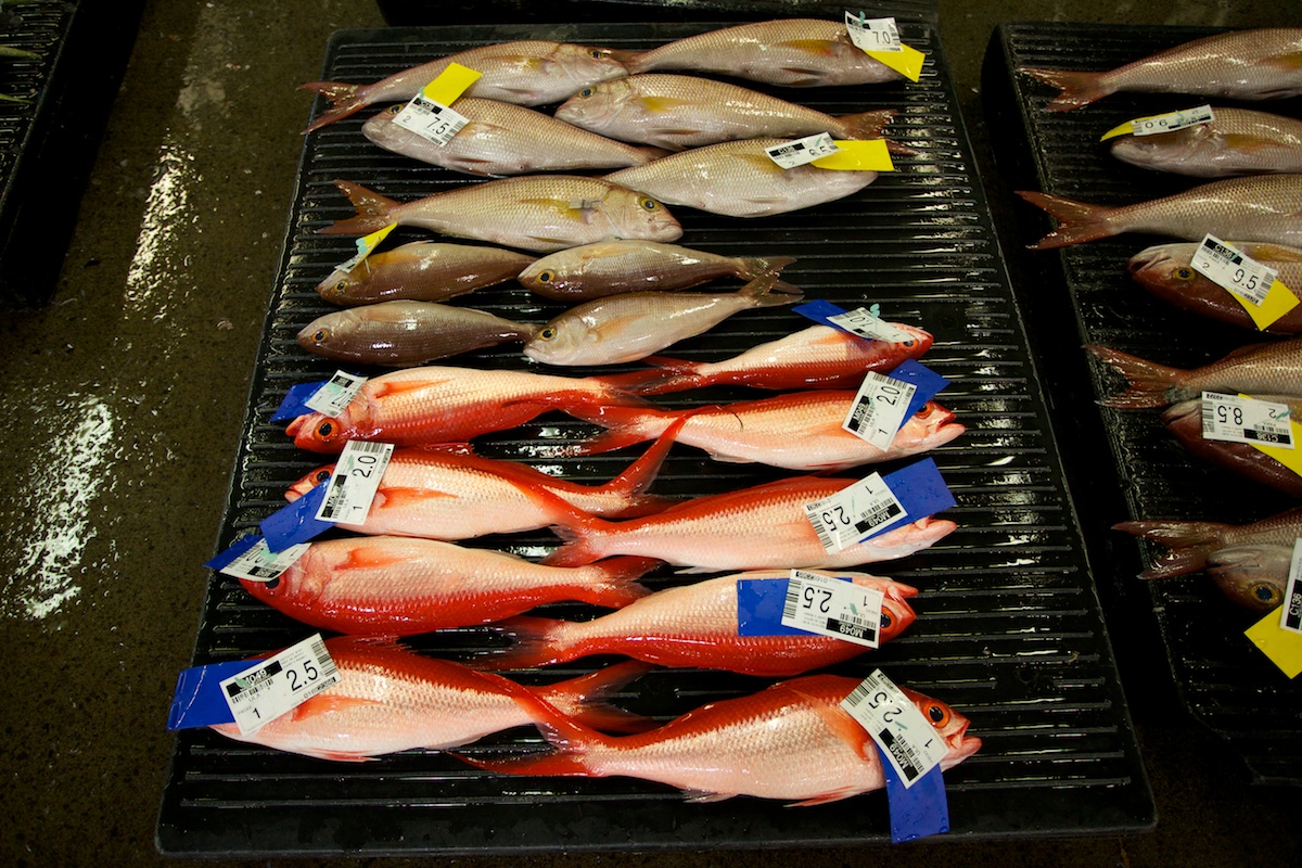 Honolulu Fish Auction at Pier 38
