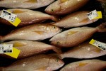 Honoulu Fish Auction at Pier 38