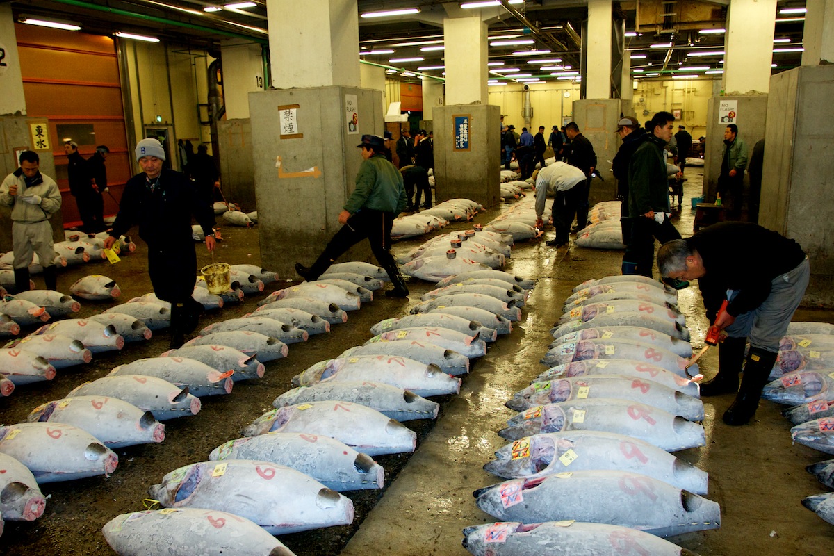 Tsukiji Fish Market - Tokyo, Japan